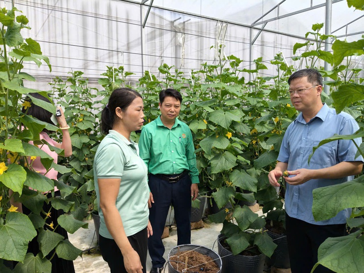 Đồng chí Nguyễn Văn Cường tiếp tục được chỉ định làm Chủ tịch Hội Nông dân xã Đoài Phương lần thứ I, nhiệm kỳ 2025–2030- Ảnh 9.