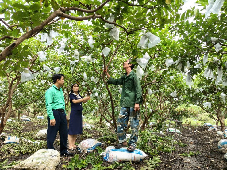 Đồng chí Nguyễn Văn Cường tiếp tục được chỉ định làm Chủ tịch Hội Nông dân xã Đoài Phương lần thứ I, nhiệm kỳ 2025–2030- Ảnh 8.