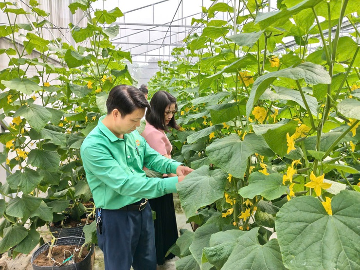 Đồng chí Nguyễn Văn Cường tiếp tục được chỉ định làm Chủ tịch Hội Nông dân xã Đoài Phương lần thứ I, nhiệm kỳ 2025–2030- Ảnh 10.