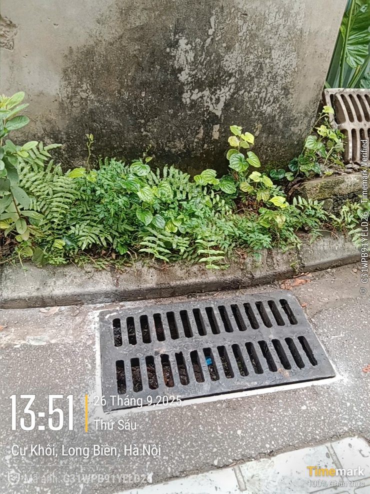 UBND phường Long Biên: Quyết liệt xử lý kiến nghị về trật tự đô thị tuần 38- Ảnh 1.