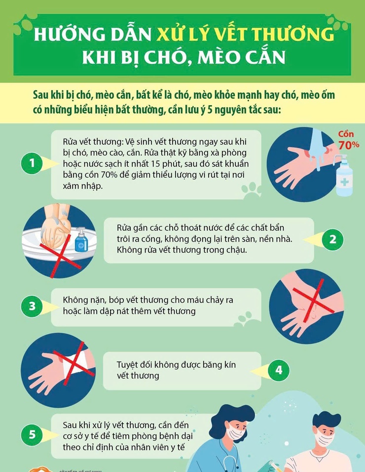 Tuyên truyền phòng, chống bệnh dại tại xã Nam Phù- Ảnh 4.