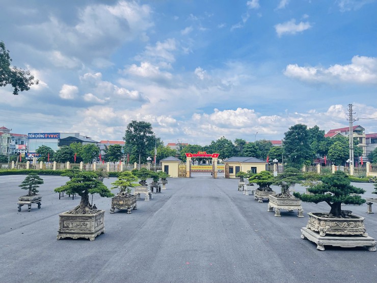 Hội Nông dân xã Phúc Thọ sẵn sàng cho Đại hội đại biểu Hội Nông dân xã lần thứ Nhất, nhiệm kỳ 2025–2030- Ảnh 6.
