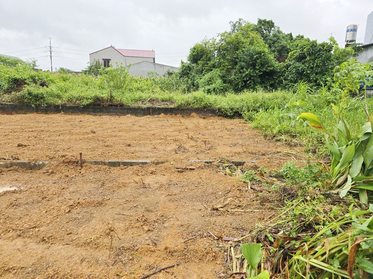 Xã Phú Cát: Hai hộ dân tự giác tháo dỡ công trình vi phạm, hoàn trả mặt bằng nguyên trạng- Ảnh 5.