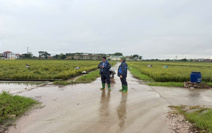 XÃ YÊN LÃNG TẬP TRUNG ỨNG PHÓ VỚI CƠN BÃO SỐ 10 BUALOI- Ảnh 1.