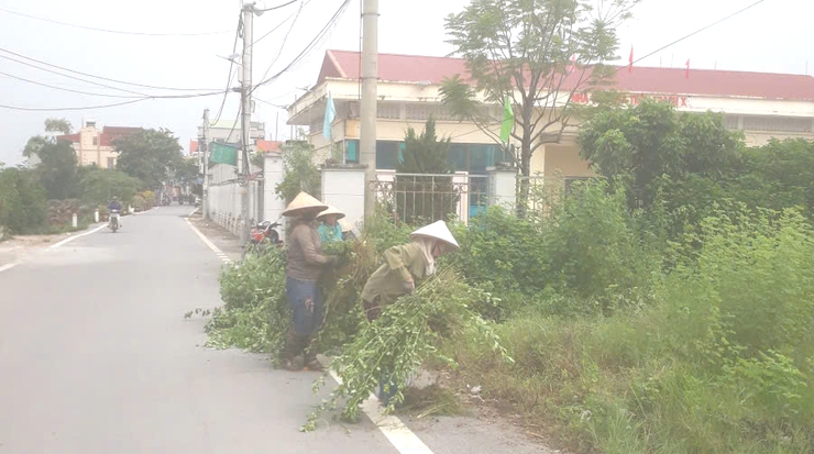ỨNG HÒA SÔI NỔI CÁC HOẠT ĐỘNG VĂN HÓA, VĂN NGHỆ, THỂ DỤC THỂ THAO CHÀO MỪNG KỶ NIỆM 80 NĂM QUỐC KHÁNH 2/9.- Ảnh 9.