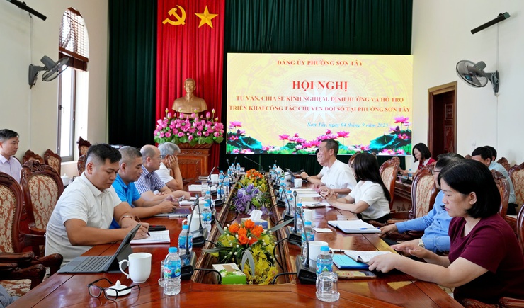 Tư vấn, định hướng công tác chuyển đổi số trên địa bàn phường Sơn Tây- Ảnh 1.