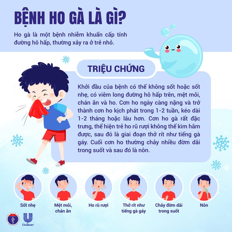 Hướng dẫn phòng chống bệnh Ho gà- Ảnh 1.