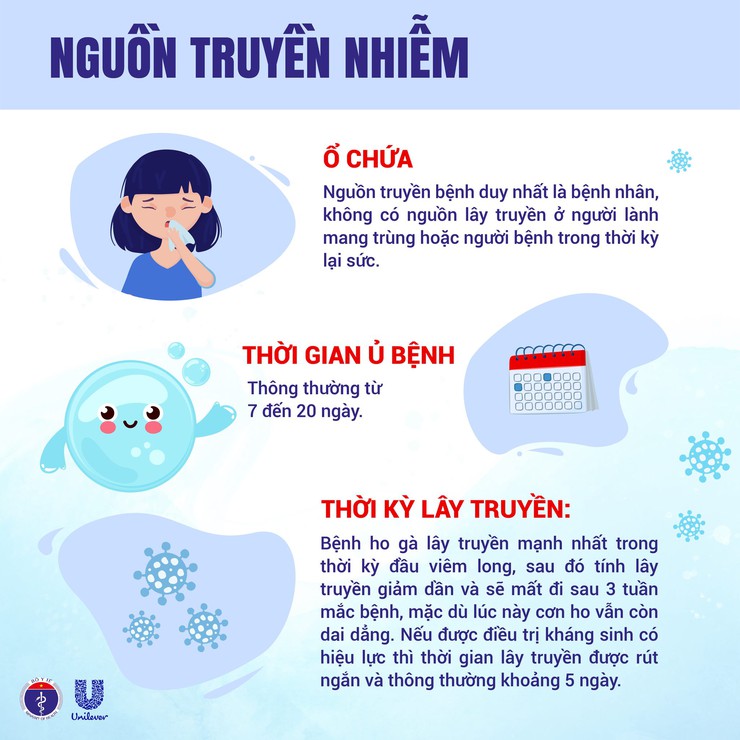 Hướng dẫn phòng chống bệnh Ho gà- Ảnh 2.