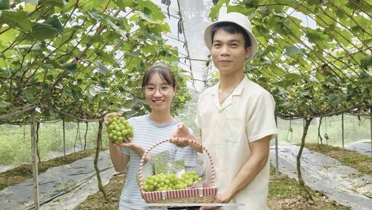 Anh Kiều Văn Tuyên - Tấm gương nông dân dám nghĩ, dám làm ở xã Phúc Thọ- Ảnh 3.