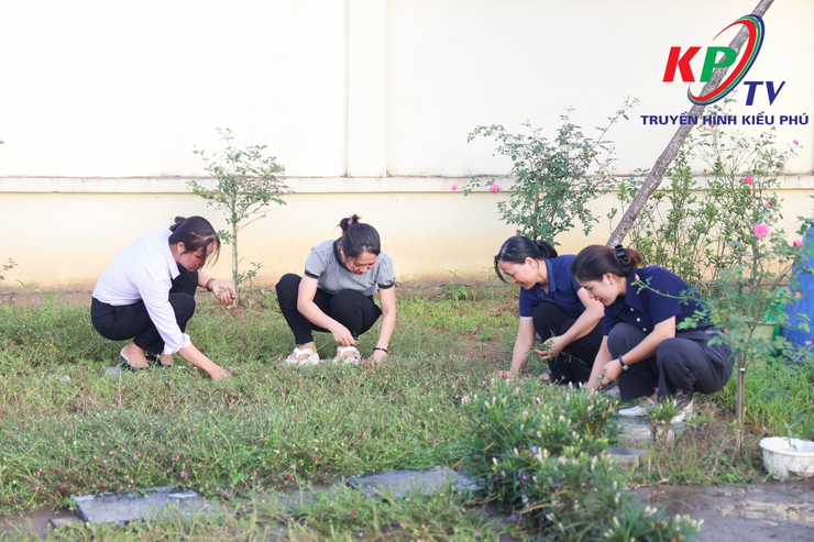 Đông đảo cán bộ, chuyên viên các ban Đảng và Văn phòng Đảng ủy xã Kiều Phú tổ chức vệ sinh môi trường tại công sở, nơi làm việc tạo cảnh quan xanh- sạch- đẹp.- Ảnh 6.