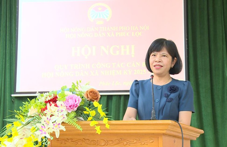 Hội Nông dân xã tổ chức Hội nghị quy trình công tác cán bộ và triển khai kế hoạch Đại hội nhiệm kỳ 2025-2030- Ảnh 3.