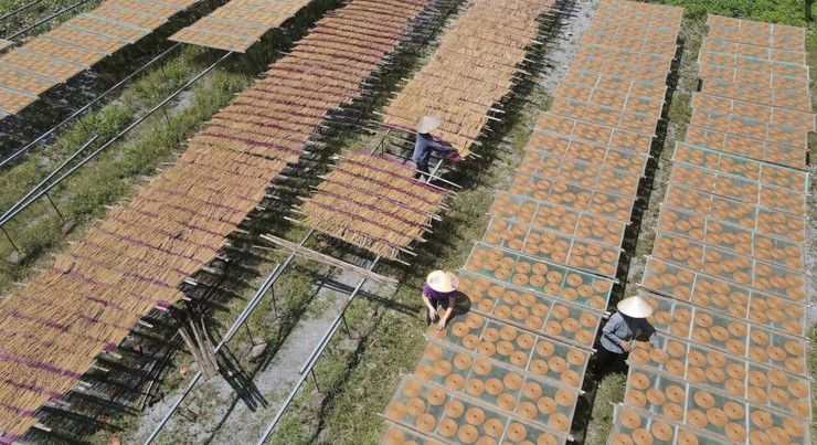 Phượng Dực bước vào năm 2026 với mục tiêu tăng trưởng hai con số- Ảnh 4.