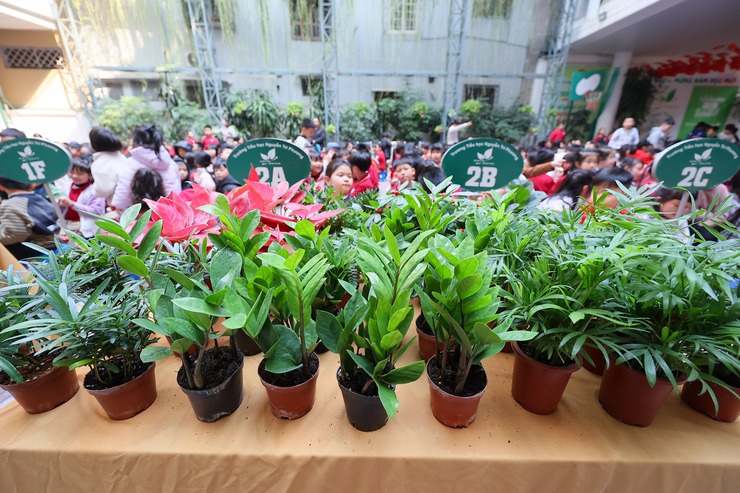 TUỔI TRẺ BA ĐÌNH: 3.286 KG GIẤY ĐƯỢC ĐỔI TẠI NGÀY HỘI “ĐỔI GIẤY LẤY CÂY” NĂM 2026- Ảnh 11.