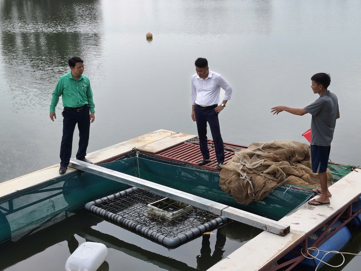 Đoài Phương kê khai hoạt động chăn nuôi xong trước ngày 30/01/2026

- Ảnh 1.