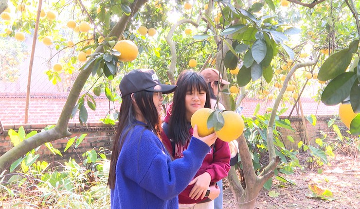 ĐOÀN PHỤ HUYNH VÀ HỌC SINH LỚP 7A6 – TRƯỜNG THCS TRẦN DUY HƯNG THAM QUAN, DÂNG HƯƠNG TẠI ĐỀN HÁT MÔN- Ảnh 2.