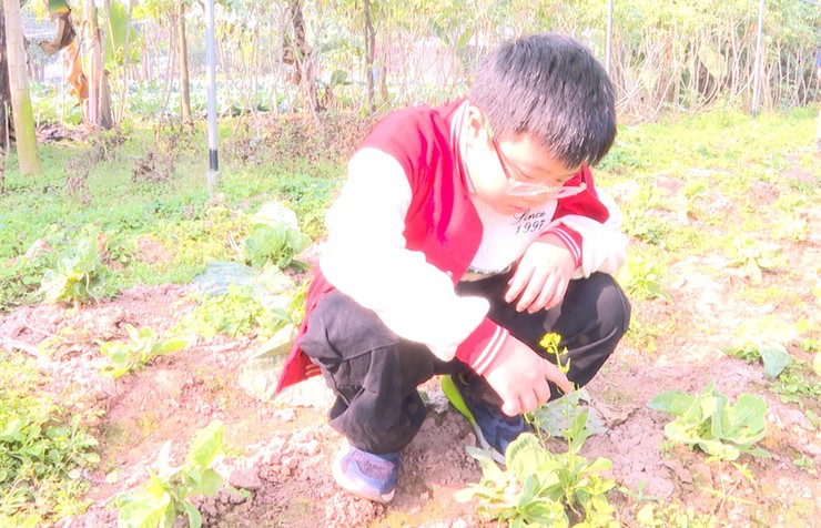 ĐOÀN PHỤ HUYNH VÀ HỌC SINH LỚP 7A6 – TRƯỜNG THCS TRẦN DUY HƯNG THAM QUAN, DÂNG HƯƠNG TẠI ĐỀN HÁT MÔN- Ảnh 3.