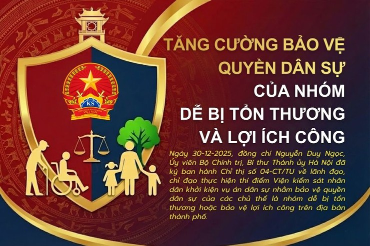 Tăng cường bảo vệ quyền dân sự của nhóm dễ bị tổn thương và lợi ích công- Ảnh 1.