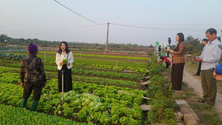 Livestream – “đòn bẩy số” thúc đẩy tiêu thụ nông sản và phát triển kinh tế số tại  Đại Xuyên- Ảnh 6.