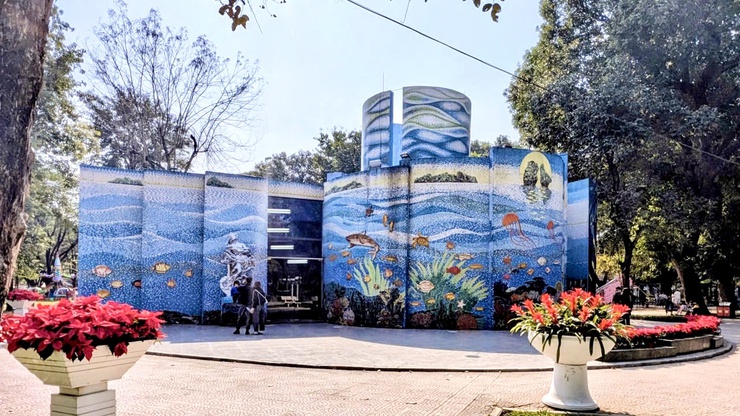 "Nhà gương kỳ ảo" - Trải nghiệm thú vị, hấp dẫn tại công viên Thống Nhất, phường Hai Bà Trưng.- Ảnh 1.