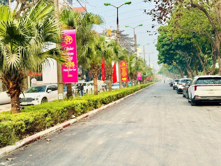 Thanh Trì rực rỡ cờ hoa chào mừng Đại hội lần thứ XIV của Đảng - Ảnh 3.