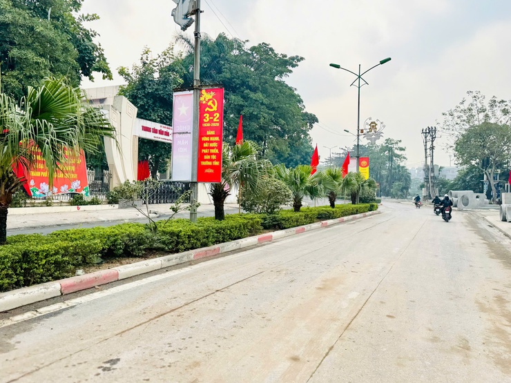 Thanh Trì rực rỡ cờ hoa chào mừng Đại hội lần thứ XIV của Đảng - Ảnh 4.