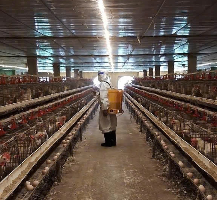 TĂNG CƯỜNG CÔNG TÁC PHÒNG, CHỐNG DỊCH BỆNH GIA SÚC, GIA CẦM VỤ ĐÔNG XUÂN TRÊN ĐỊA BÀN XÃ ỨNG HÒA.- Ảnh 2.