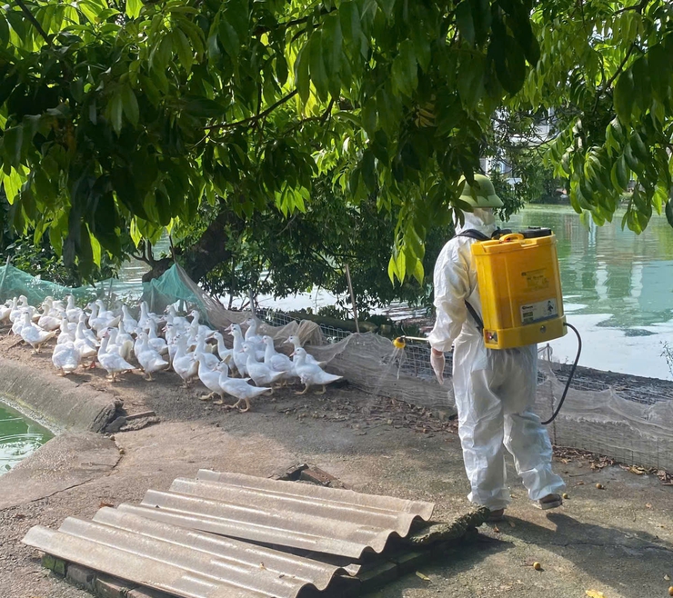 TĂNG CƯỜNG CÔNG TÁC PHÒNG, CHỐNG DỊCH BỆNH GIA SÚC, GIA CẦM VỤ ĐÔNG XUÂN TRÊN ĐỊA BÀN XÃ ỨNG HÒA.- Ảnh 3.