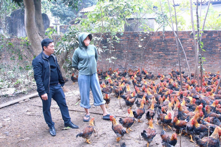 Rộn ràng khí thế lao động sản xuất trên những cánh đồng xuân Phú Nghĩa- Ảnh 3.