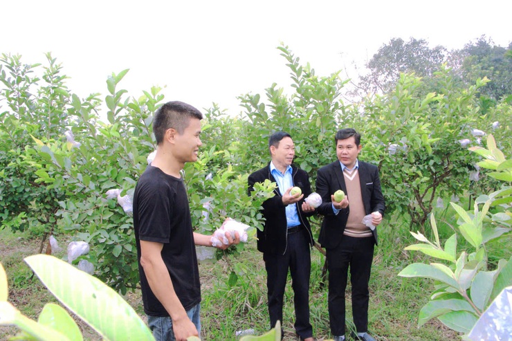 Rộn ràng khí thế lao động sản xuất trên những cánh đồng xuân Phú Nghĩa- Ảnh 5.