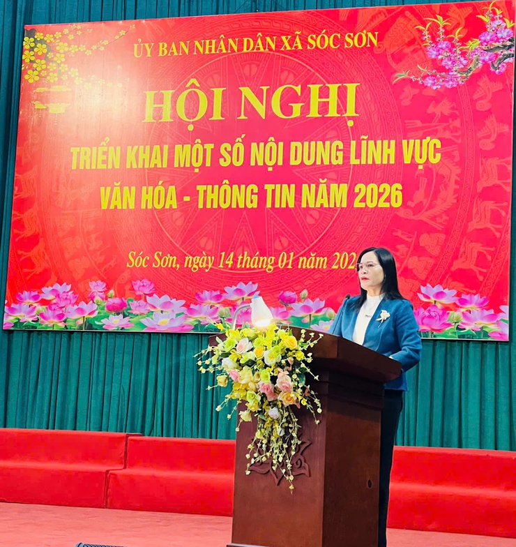 Xã Sóc Sơn triển khai một số nội dung lĩnh vực Văn hóa - Thông tin- Ảnh 2.