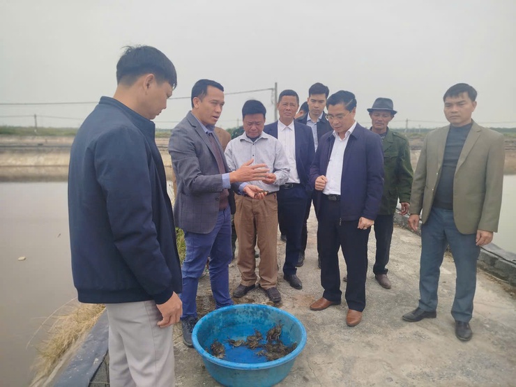 TIỀM NĂNG, LỢI THẾ VÀ ĐỊNH HƯỚNG PHÁT TRIỂN NUÔI TRỒNG THỦY SẢN XÃ ỨNG HÒA- Ảnh 3.