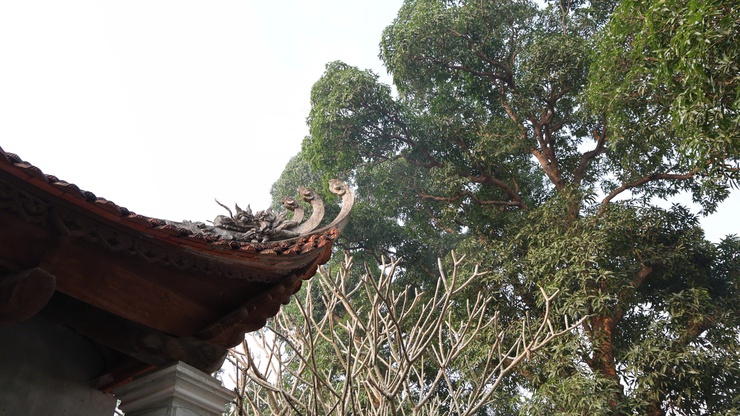 Đình Kim thôn Song Khê – Giá Trị Lịch Sử, Văn Hóa Và Cách Mạng- Ảnh 2.