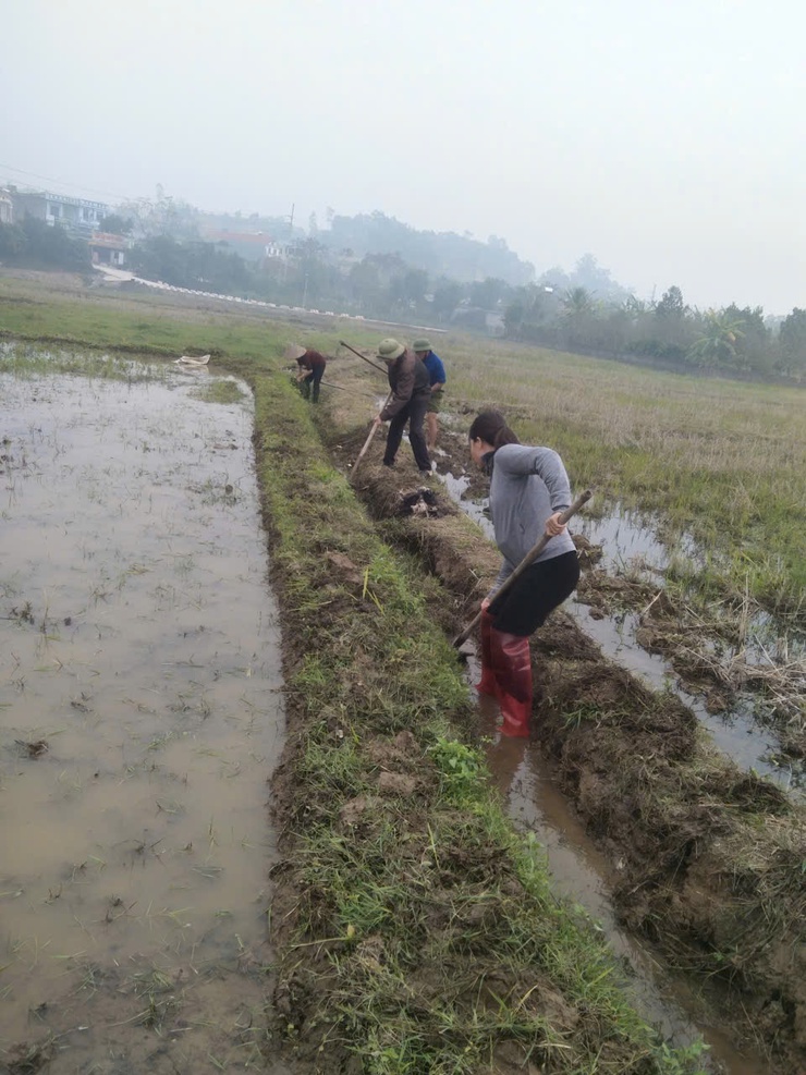 Nông dân xã Vật Lại tích cực nạo vét hệ thống mương, máng, đảm bảo công tác lấy nước phục vụ sản xuất vụ Xuân 2026- Ảnh 1.