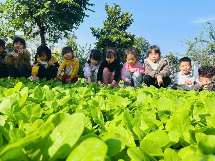 TRƯỜNG MẦM NON CAO DƯƠNG II TỔ CHỨC HOẠT ĐỘNG TRẢI NGHIỆM CÙNG THIÊN NHIÊN – XÂY DỰNG NỀN TẢNG PHÁT TRIỂN TOÀN DIỆN CHO TRẺ- Ảnh 1.