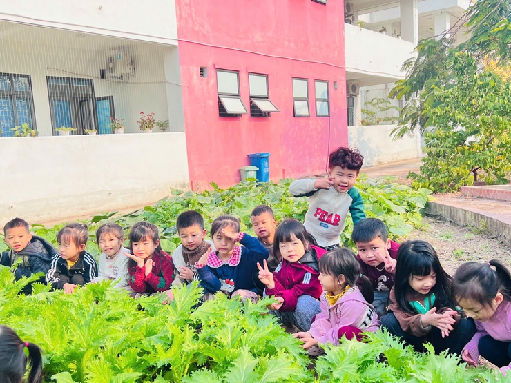 TRƯỜNG MẦM NON CAO DƯƠNG II TỔ CHỨC HOẠT ĐỘNG TRẢI NGHIỆM CÙNG THIÊN NHIÊN – XÂY DỰNG NỀN TẢNG PHÁT TRIỂN TOÀN DIỆN CHO TRẺ- Ảnh 3.