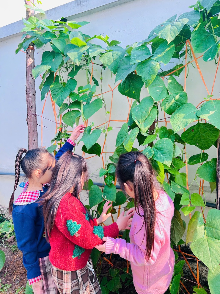 TRƯỜNG MẦM NON CAO DƯƠNG II TỔ CHỨC HOẠT ĐỘNG TRẢI NGHIỆM CÙNG THIÊN NHIÊN – XÂY DỰNG NỀN TẢNG PHÁT TRIỂN TOÀN DIỆN CHO TRẺ- Ảnh 2.