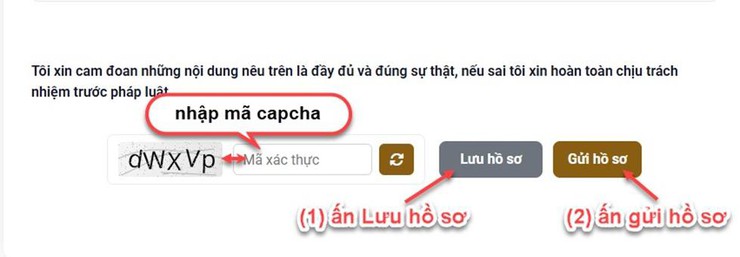 HƯỚNG DẪN NỘP HỒ SƠ VÀ TÍCH HỢP THÔNG TIN ĐƠN ỨNG CỬ, TIỂU SỬ TÓM TẮT TRÊN CỔNG THÔNG TIN ĐIỆN TỬ CỦA HỘI ĐỒNG BẦU CỬ QUỐC GIA- Ảnh 9.