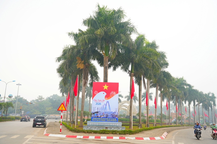 PHƯỜNG SƠN TÂY RỰC RỠ CỜ HOA CHÀO MỪNG ĐẠI HỘI ĐẠI BIỂU TOÀN QUỐC LẦN THỨ XIV CỦA ĐẢNG- Ảnh 13.