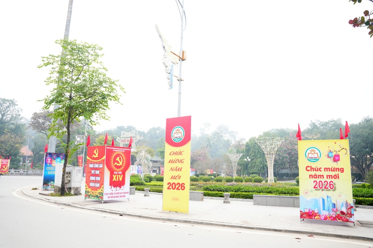 PHƯỜNG SƠN TÂY RỰC RỠ CỜ HOA CHÀO MỪNG ĐẠI HỘI ĐẠI BIỂU TOÀN QUỐC LẦN THỨ XIV CỦA ĐẢNG- Ảnh 10.