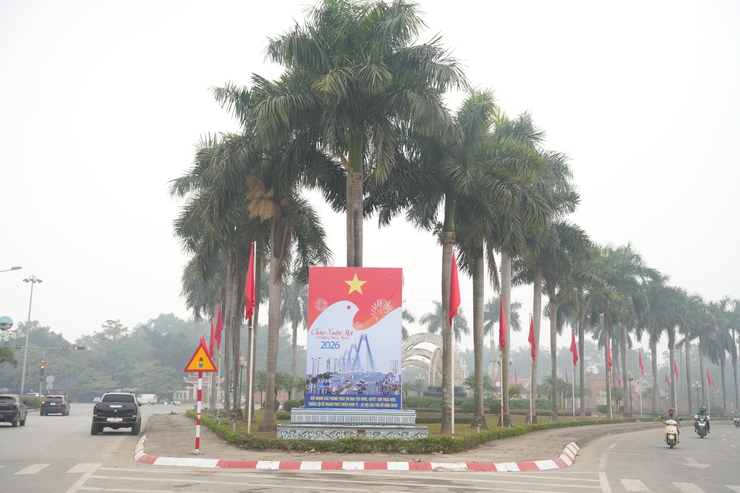 PHƯỜNG SƠN TÂY RỰC RỠ CỜ HOA CHÀO MỪNG ĐẠI HỘI ĐẠI BIỂU TOÀN QUỐC LẦN THỨ XIV CỦA ĐẢNG- Ảnh 14.