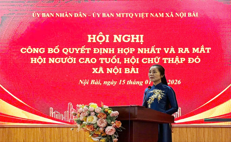 Công bố quyết định hợp nhất và ra mắt Hội Người cao tuổi, Hội Chữ thập đỏ xã Nội Bài- Ảnh 1.