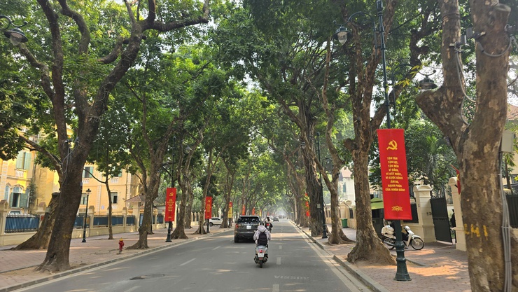 PHƯỜNG BA ĐÌNH RỰC RỠ CỜ, HOA CHÀO MỪNG ĐẠI HỘI ĐẠI BIỂU TOÀN QUỐC LẦN THỨ XIV CỦA ĐẢNG- Ảnh 7.