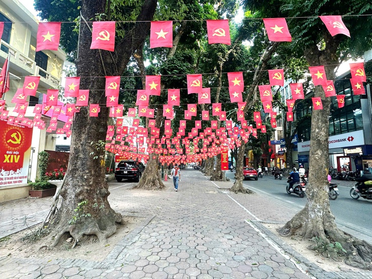 PHƯỜNG BA ĐÌNH RỰC RỠ CỜ, HOA CHÀO MỪNG ĐẠI HỘI ĐẠI BIỂU TOÀN QUỐC LẦN THỨ XIV CỦA ĐẢNG- Ảnh 25.