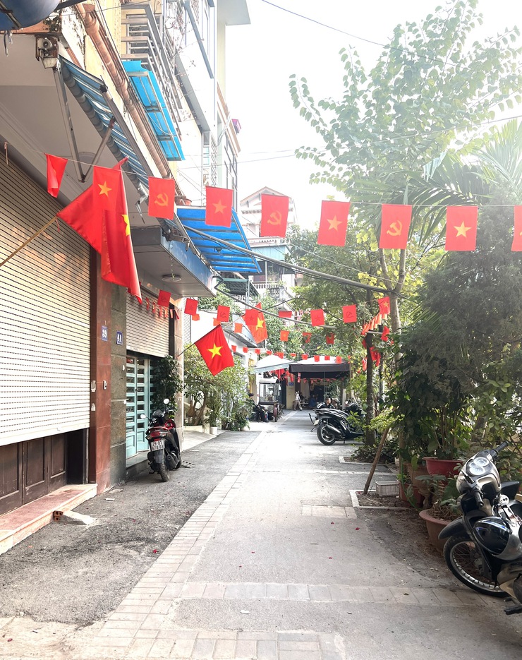 PHƯỜNG BA ĐÌNH RỰC RỠ CỜ, HOA CHÀO MỪNG ĐẠI HỘI ĐẠI BIỂU TOÀN QUỐC LẦN THỨ XIV CỦA ĐẢNG- Ảnh 18.