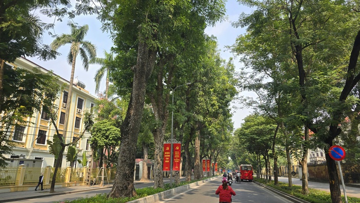 PHƯỜNG BA ĐÌNH RỰC RỠ CỜ, HOA CHÀO MỪNG ĐẠI HỘI ĐẠI BIỂU TOÀN QUỐC LẦN THỨ XIV CỦA ĐẢNG- Ảnh 29.