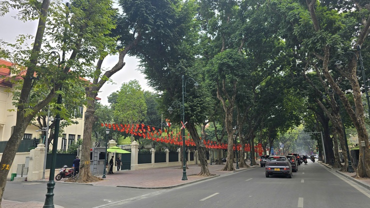 PHƯỜNG BA ĐÌNH RỰC RỠ CỜ, HOA CHÀO MỪNG ĐẠI HỘI ĐẠI BIỂU TOÀN QUỐC LẦN THỨ XIV CỦA ĐẢNG- Ảnh 31.