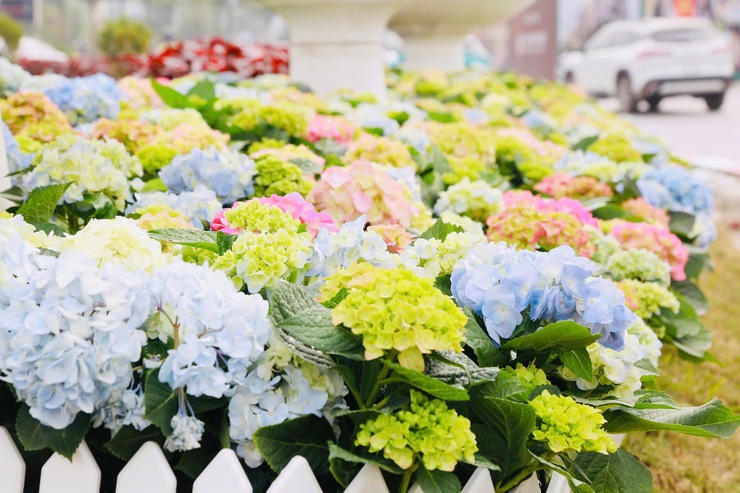 Phường Dương Nội rực rỡ cờ hoa chào mừng Đại hội Đảng toàn quốc lần thứ XIV- Ảnh 6.