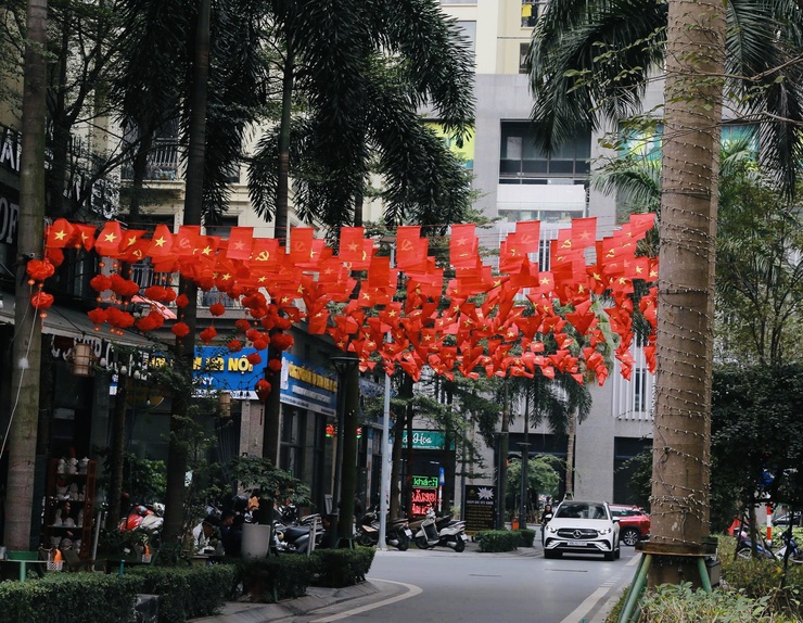 Phường Dương Nội rực rỡ cờ hoa chào mừng Đại hội Đảng toàn quốc lần thứ XIV- Ảnh 9.