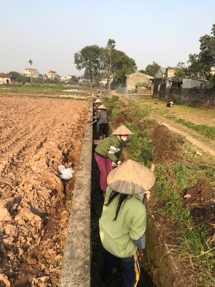 HỘI LHPN XÃ HÒA XÁ RA QUÂN TỔNG VỆ SINH ĐỒNG RUỘNG, HƯỞNG ỨNG SẢN XUẤT VỤ XUÂN 2026- Ảnh 1.