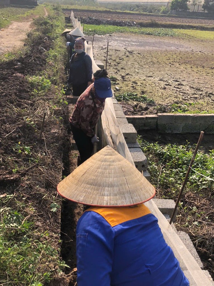 HỘI LHPN XÃ HÒA XÁ RA QUÂN TỔNG VỆ SINH ĐỒNG RUỘNG, HƯỞNG ỨNG SẢN XUẤT VỤ XUÂN 2026- Ảnh 2.